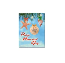 Notelet Beach Theme Starfish Holiday Cards Boxed Sea Shell