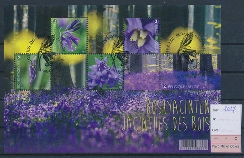 LS75669 Belgium 2017 flowers nature FDC cancel good sheet used