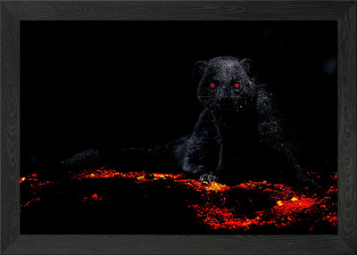 Zwerg Mungo mit feurigem gerahmtes Wandbild Poster Leinwanddruck Bild