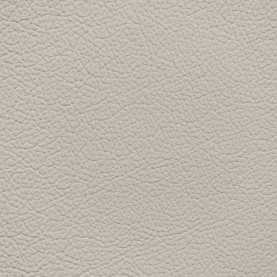 BMW Oyster Leather Dye