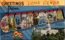 Loma Linda CA California Large Letter Postcard Curt Teich Rare MCM Sales Sample