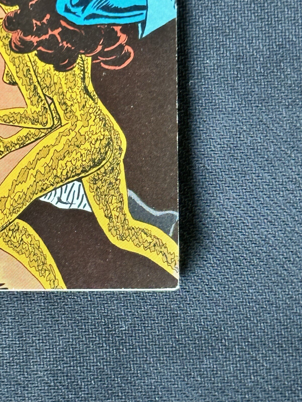 Picture 4 of 5