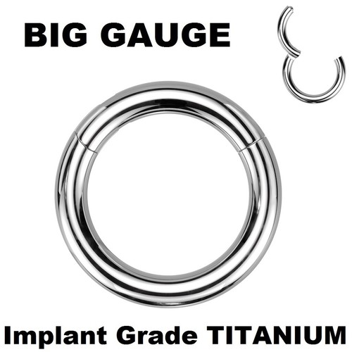 Solid IG TITANIUM Hinged Clicker Seamless Segment Hoop Ring EAR NIPPLE Piercings - 第 1/3 張圖片