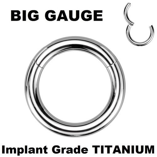 Solid IG TITANIUM Hinged Clicker Seamless Segment Hoop Ring EAR NIPPLE Piercings - Picture 1 of 3