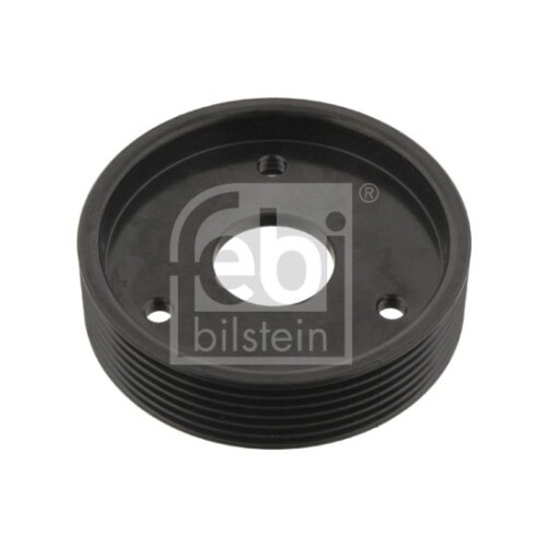 Puleggia Servopompa Febi Bilstein 29501 Febi Plus per Renault