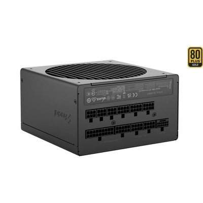 Fractal Design Ion Gold 3 Modulaire 1000 Watt Voeding (Zwart, 1x