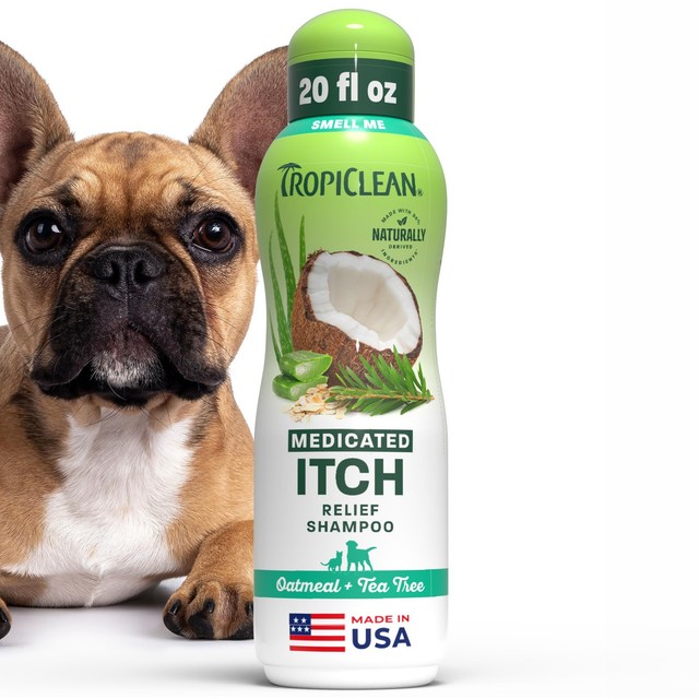 TropiClean Medicated Itchy Skin Relief Oatmeal & Tea Tree Dog Shampoo