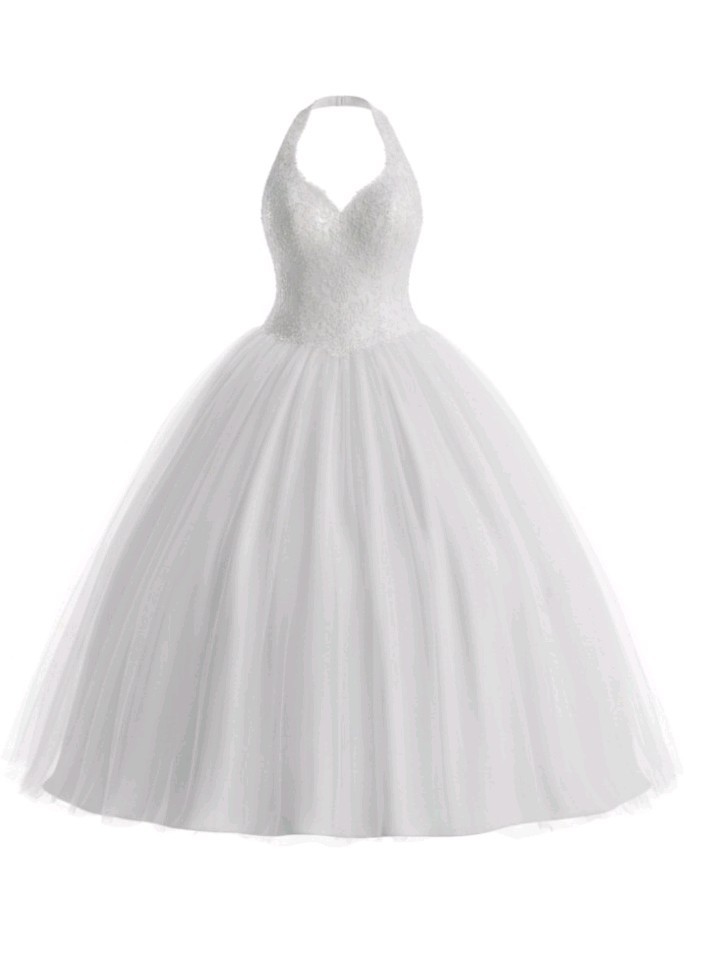 wedding dresses with halter tops Davids Bridal Top Dress Plus Size 20 w/ Beautiful Beaded Detail high neck halter wedding dress