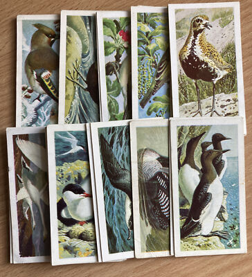 Wild Birds in Britain - Brooke Bond Tea Cards - Pick Your Cards
