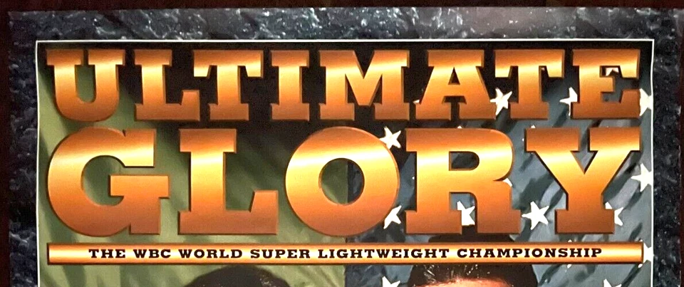 PÓSTER ORIGINAL VINTAGE 1996 CHAVEZ VS. DE LA HOYA CAMPEONATO BOXEO LUCHA Foto 3 de 4