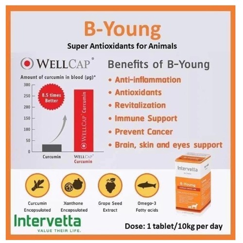Dr.Choice B-Young Intervetta Complete Senior Care Nervous System for Dogs & Cats - Picture 4 of 8