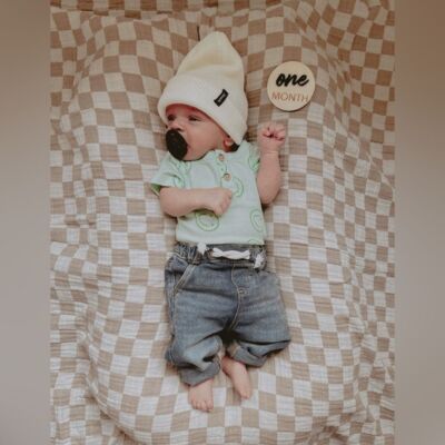 3D Wooden Monthly Dics - Months 1-12 Plus Hello World For Baby's First Year