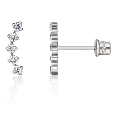 Hypoallergenic G23 Implant Grade Titanium Screw Back Earrings