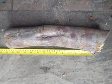 Yew Log with Inclusion. Interesting Log Wood Turning Blank. 2 Years Seasoned