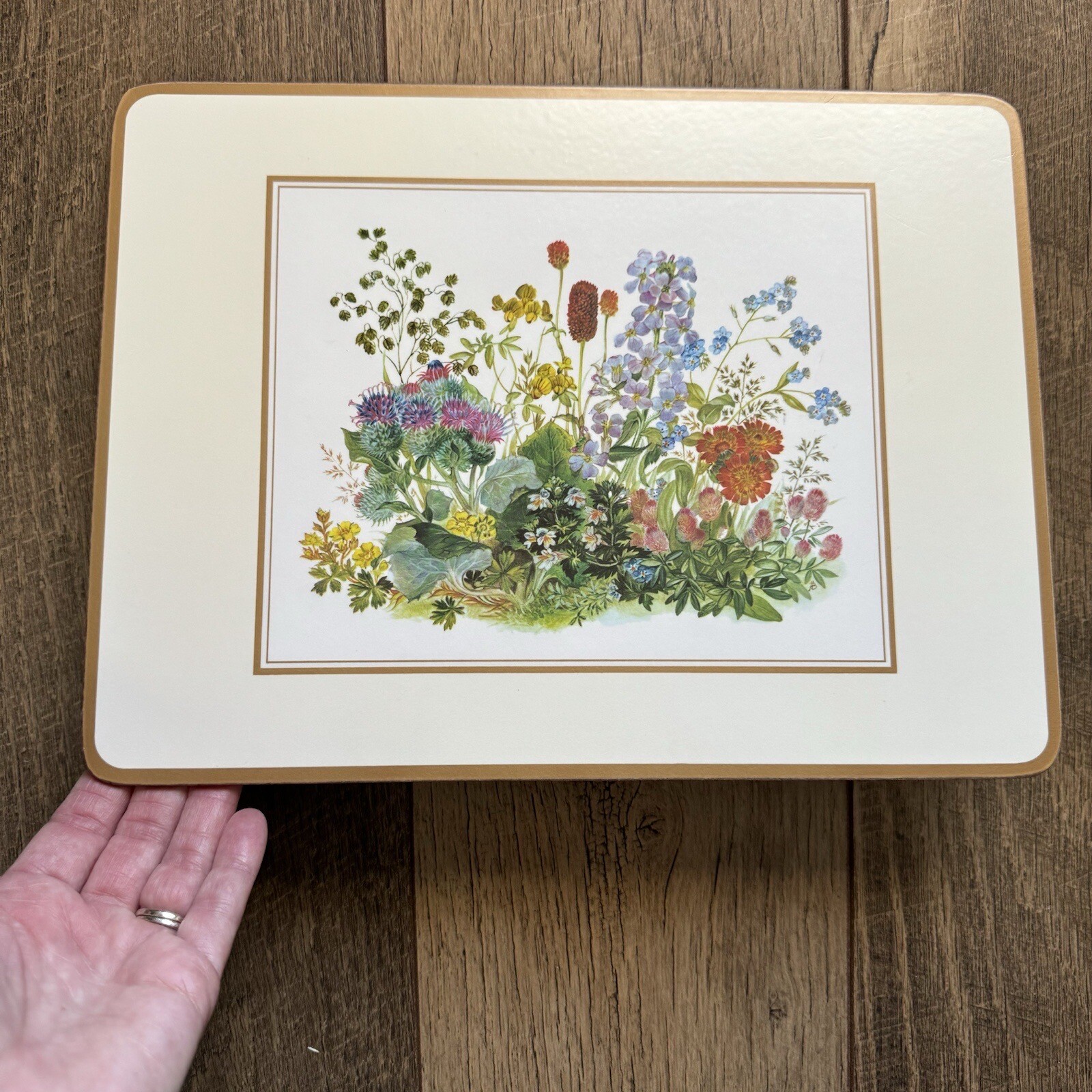 VTG Pimpernel Placemats Meadow Flowers Cork Back Set Of 4 Made In