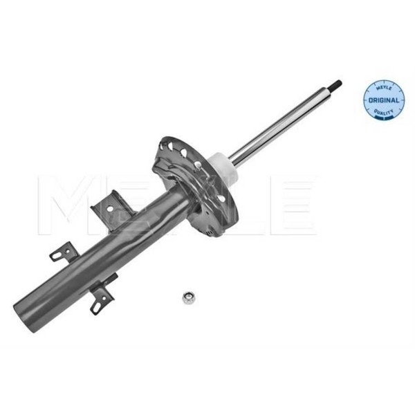Meyle StoßDäMpfer Hinterachse Links FüR Land Rover Freelander 2 Fa_ Lf_-image