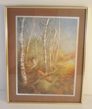 Nature Ducks Pheasants Birds Flying 8" x 10" Wall Art Photo Image Foil Style