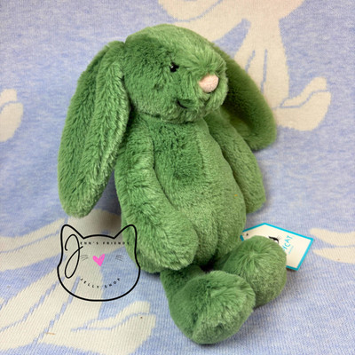  Bashful Ivy Bunny ぬいぐるみ AUTHENTIC Jellycat BASHFUL IVY BUNNY Little RETIRED 2024 New BNWT