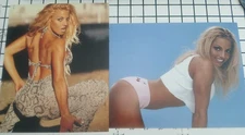 Lot of 2 Trish Stratus Unsigned 8x10 Photos WWE Diva