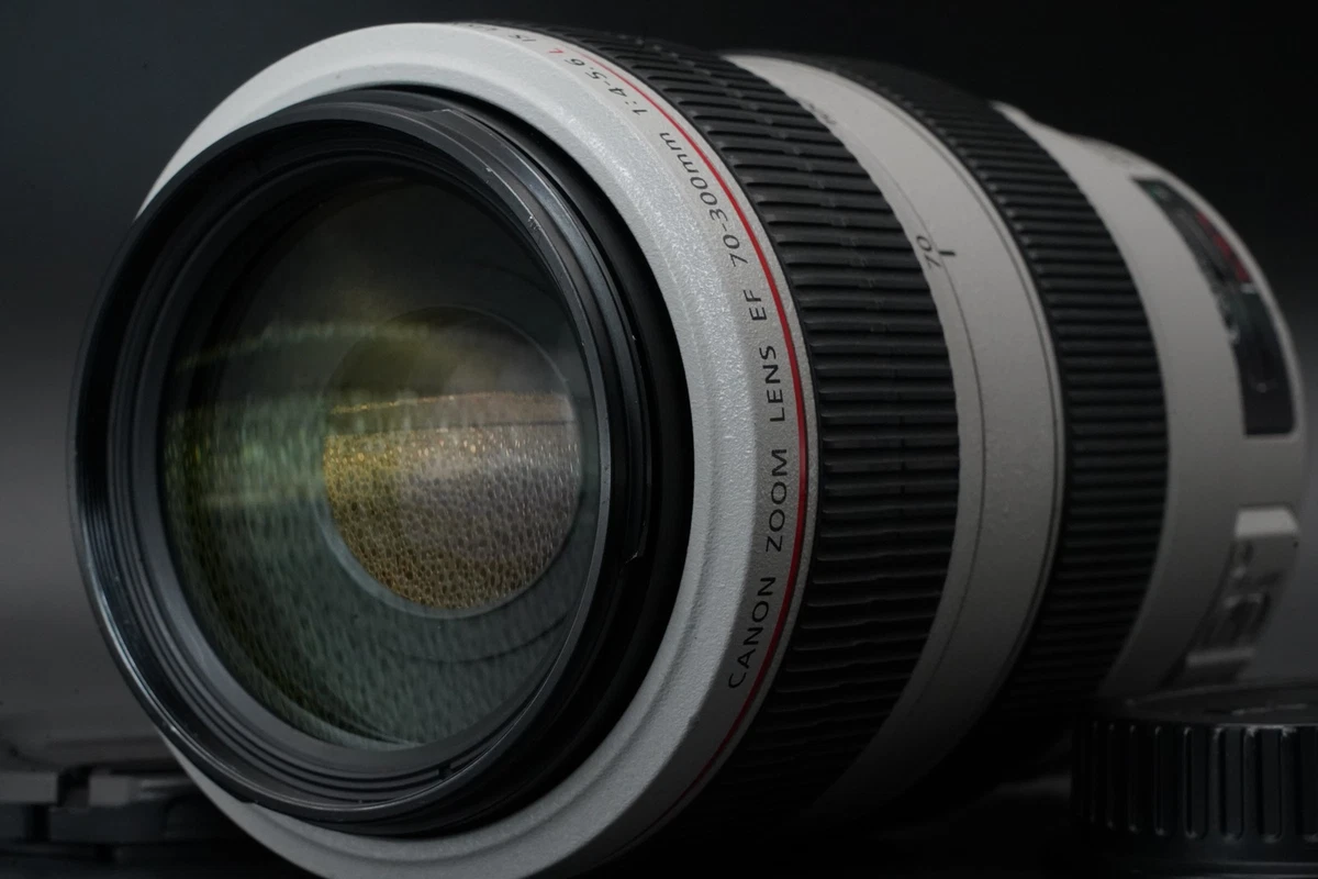 Canon 70 300 L for sale | eBay