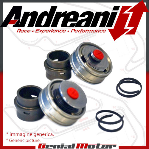 Andreani Bpf Pistons Big Piston Fork Showa Ducati 899 / 959 Panigale