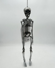 Halloween Decoration 19 Inch Posable Skeleton Full Body New w/Tags