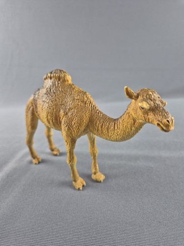 AAA Dromedary  Single Hump Male Camel Measuring  6"L  x  1 9/16"W  x  4 1/4"H