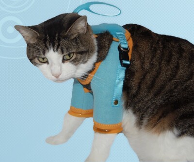 Cat Grooming Harness, Cat Restraint, Cat Grooming Restraint, adjustable for Cats