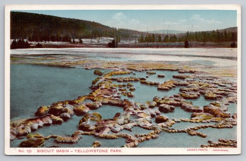 1910s Haynes Yellowstone Park - Biscuit Basin - No. 121 (Type C) UNP Postcard