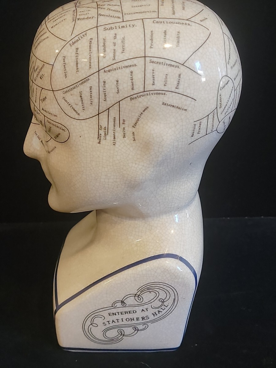 陶器製胸像 L.N FOWLER Porcelain L.N. Fowler Phrenology Scientific Psychology Bust