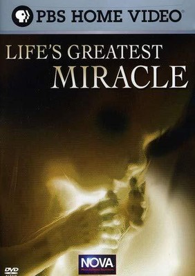 NOVA - Life's Greatest Miracle (DVD) Neil Ross Liev Schreiber Jay O. Sanders