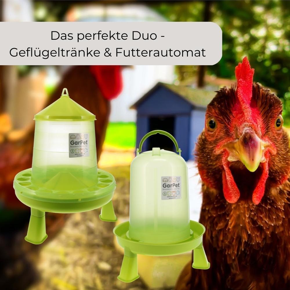 Bild 8 von 17