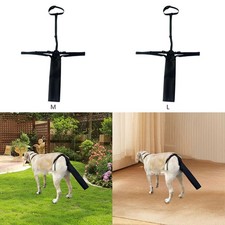 Sac de Queue pour Chien, Housse Ajustable pour Activités Intérieures