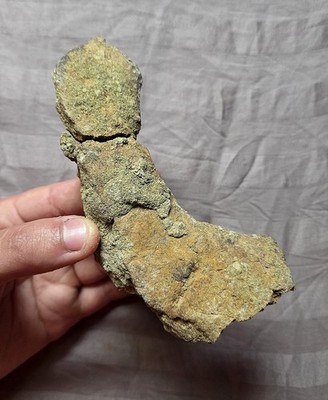 Rare Unidentified Dinosaur Fossil Bone Lance Fm Cretaceous Wyoming 
