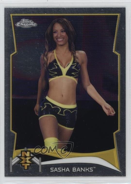 2014 Topps Chrome WWE NXT Prospects Sasha Banks #17 06hn