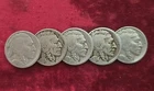 1916, 1917, 1923, 1924, 1931-S Buffalo "S" Mint Lot 5 Coin "S" Minted Coin Lot