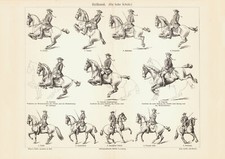 Reitkunst Die hohe Schule