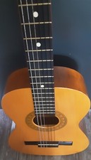 Encore Acoustic Guitar Enc36n