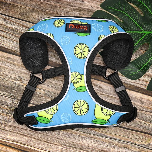 Cute Small Dog Harness Safe Reflective Pet Puppy Cat Kitten Mesh Vest Chihuahua - Picture 11 of 18