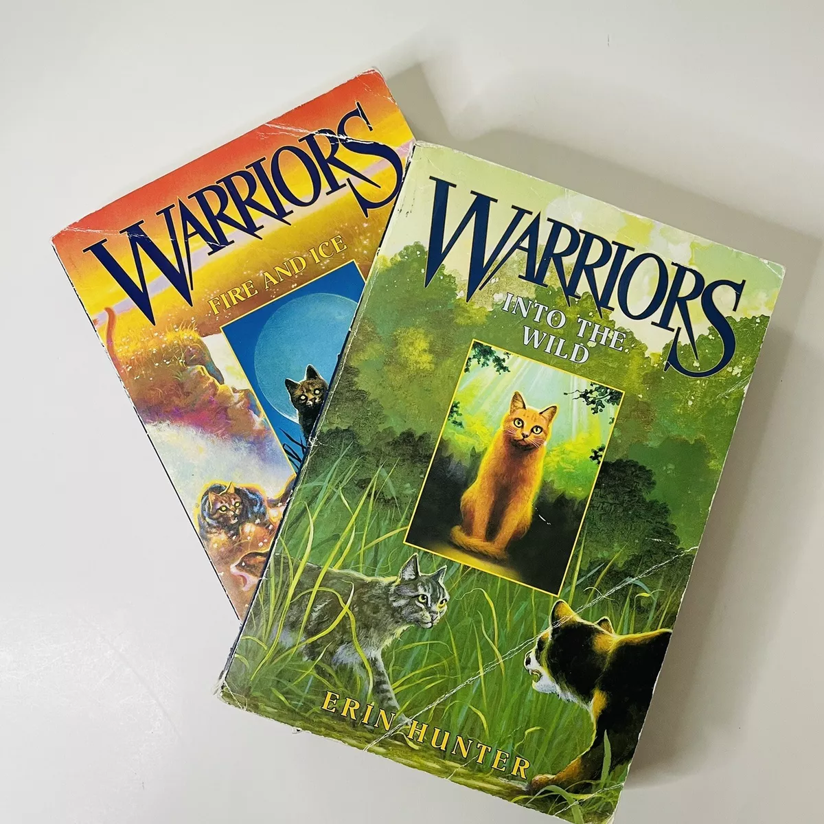 Warriors Fire And Ice Book