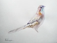 Flycatcher, Birds, Watercolor artwork, Handmade, Original painting on paper