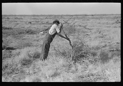 Photo:El Indio Texas 1939 Mesquite Clearing Land Farm Worker