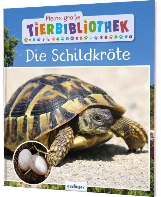 Esslinger Meine Grosse Tierbibliothek: Die Schildkröte, Kinderbücher Von Axel Gutjahr - Bild 2