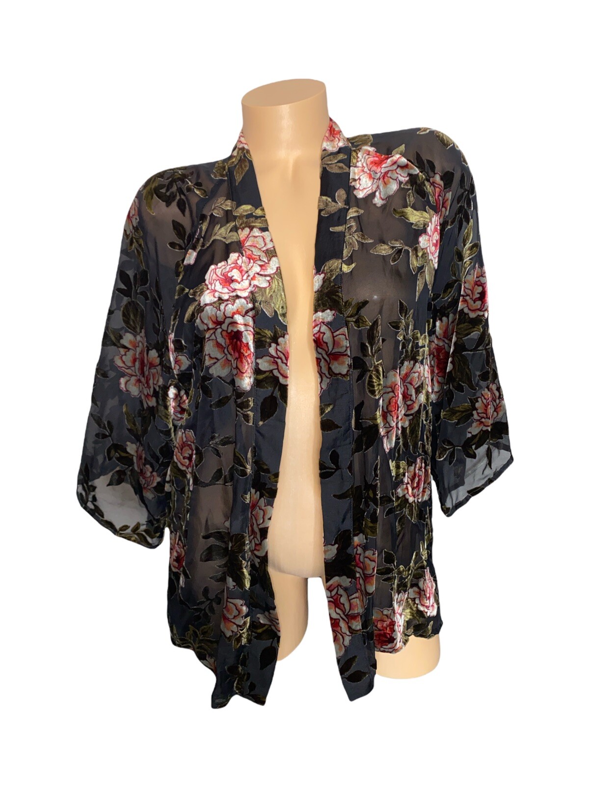 American Eagle Sheer Velvet Floral 