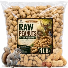 Office Roast Raw Peanuts in Shell 1 lb Bag   Unsalted, 16 Fl Oz Pack of 1 