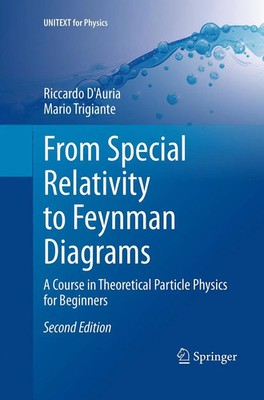 Riccardo D'Auria (u. a.) | From Special Relativity to Feynman Diagrams | Buch