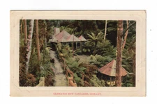 Vintage Postcard 1910 Clematis Hut Cascades, Hobart, Tas. Pub. Mc Villy & Little