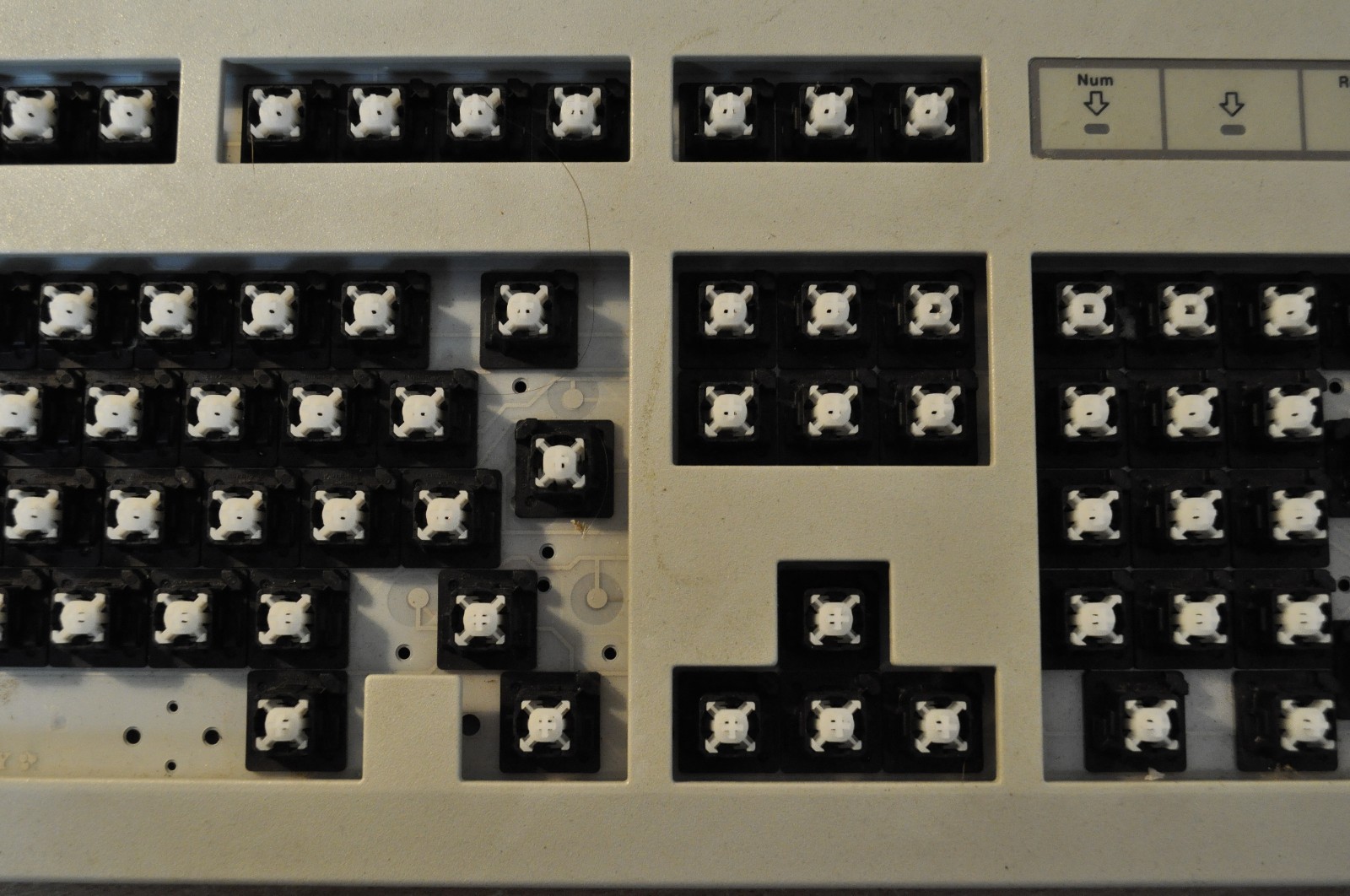 CHERRY G81-3000SPD/01, GDD5Y0GB1-3000, Mechanical Keyboard made in Germany - Picture 4 of 8