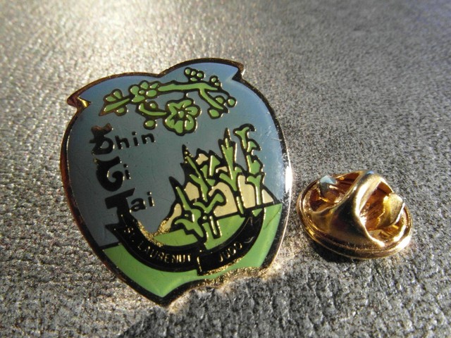 RARE PINS PIN'S - SHIN GI TAI JUDO SPORT - ST LAURENUT FRENCH CITY - MARTIAL ART RARE PINS PIN'S - SHIN GI TAI JUDO SPORT - ST LAURENUT FRENCH CITY - MARTIAL ART