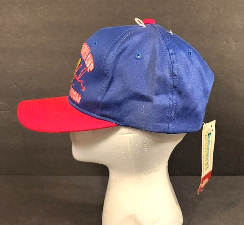 VINTAGE 1995 JEFF GORDON NASCAR WINSTON CUP CHAMPION SNAPBACK HAT NEW W/TAGS - Picture 3 of 6